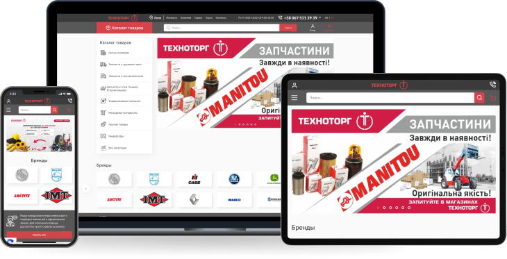 Case study of the Technotorg online store