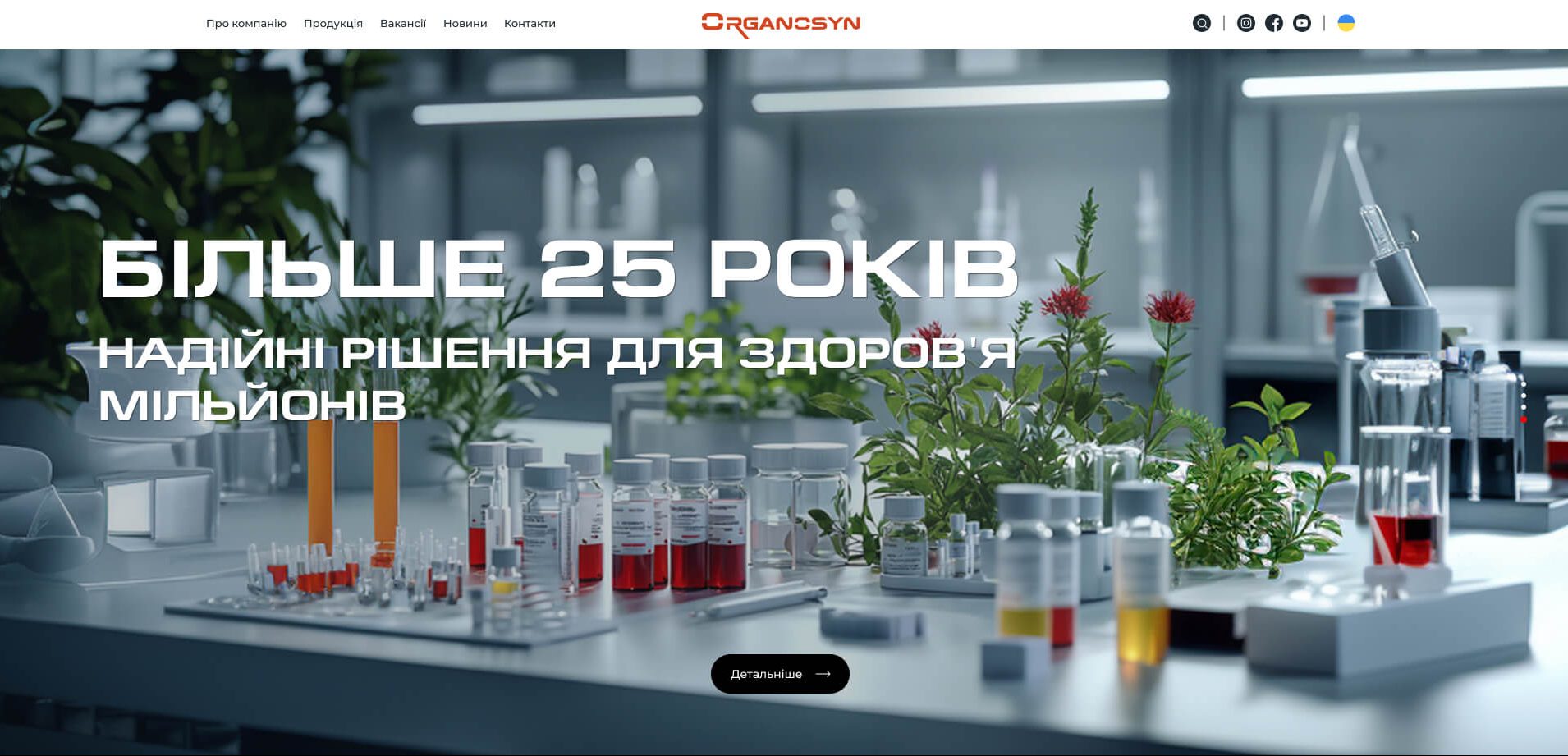Додатковий слайд сторінки проєкту Organosyn №1