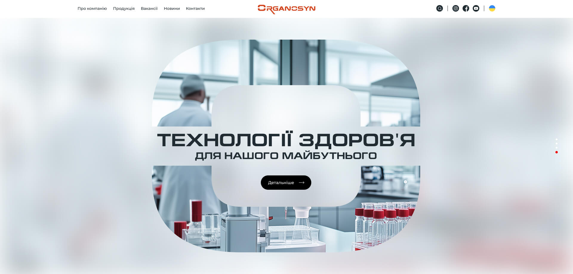 Додатковий слайд сторінки проєкту Organosyn №2
